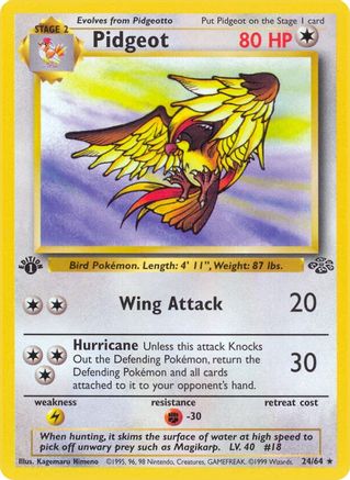 Pidgeot (24) (24) 024/64 - 1st Edition Jungle - Rare