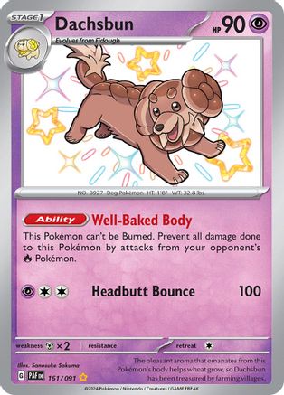 Dachsbun 161/091 - Holofoil SV Paldean Fates - Shiny Rare