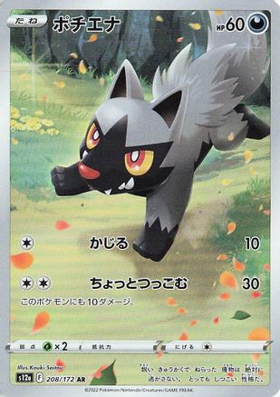 Poochyena - 208/172 (208/172) - S12a VSTAR Universe Holofoil