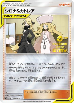 Cynthia & Caitlin - 088/S-P (088/S-P) - SP Sword Shield Promos Holofoil