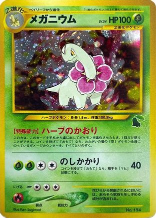 Meganium - Intro Pack Neo Chikorita Holofoil