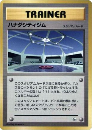 Cerulean City Gym - City Gym Decks