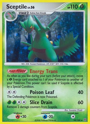 Sceptile 010 - Holofoil Stormfront - Holo Rare