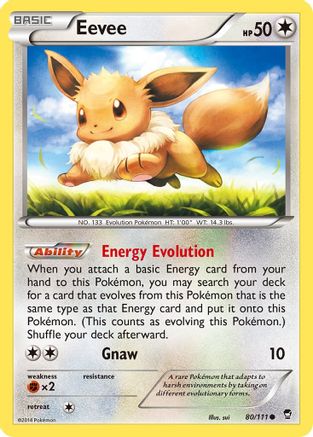 Eevee 080/111 XY Furious Fists - Common