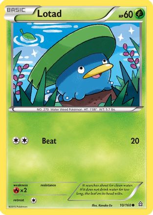 Lotad 010/160 XY Primal Clash - Common
