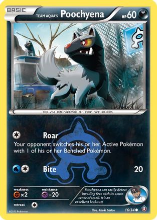 Team Aqua's Poochyena 016/34 Double Crisis - Common