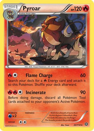 Pyroar 023/114  XY  Steam Siege - Rare