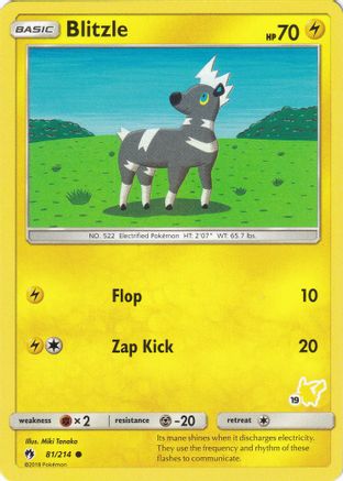 Blitzle (#19 Pikachu Stamped) 081/214  Battle Academy - Promo