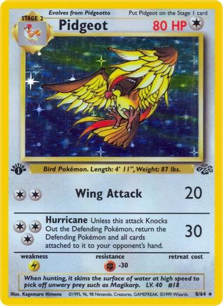 Pidgeot (8) (8) 008/64  - 1st Edition Holofoil Jungle - Holo Rare