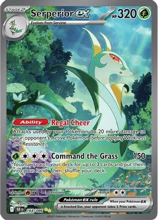 Serperior ex 164/086  - Holofoil SV Black Bolt - Special Illustration Rare