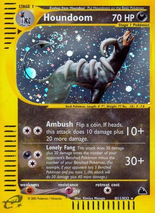 Houndoom (H11) (H11) H11  - Holofoil Skyridge - Holo Rare