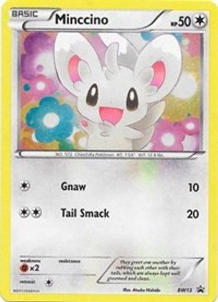 Minccino (Cosmos Holo) BW13  - Holofoil Black and White Promos - Promo