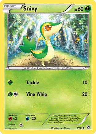 Snivy (1) (1) 001/114  - Reverse Holofoil Black and White - Common