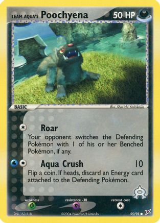 Team Aqua's Poochyena 055/95  Team Magma vs Team Aqua - Common