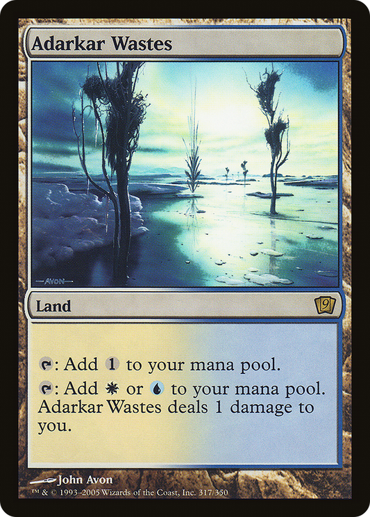 Adarkar Wastes (9ED-317★) - 9th Edition Foil
